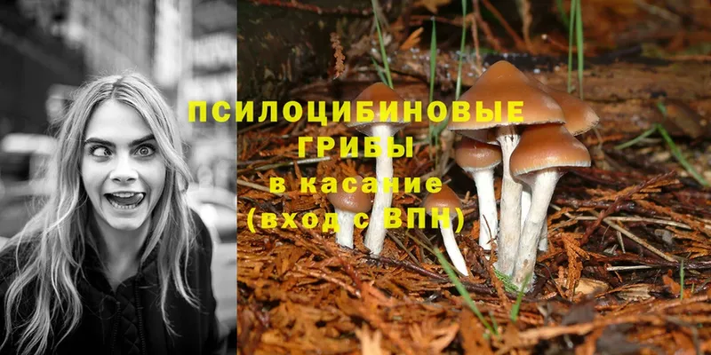 Псилоцибиновые грибы Psilocybine cubensis  ссылка на мегу как зайти  нарко площадка состав  Энгельс 